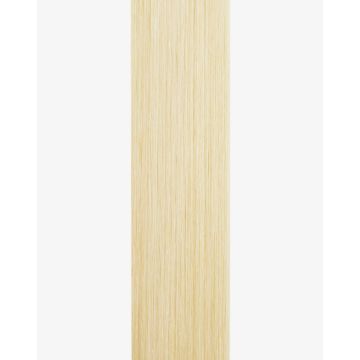 Tape-in Extensions Pro 40cm - 12 Bänder - 61