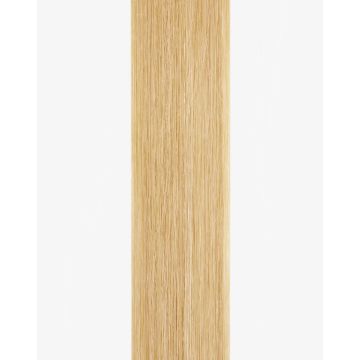 Tape-in Extensions Standard 55cm - 12 Bänder - Nordic Blond Balayage 