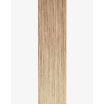 Tape-in Extensions Pro Colormelts 40cm - 12 Bänder - 18/25 CM