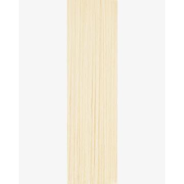 Tape-in Extensions Pro Colormelts 25cm - 12 Bänder - 60