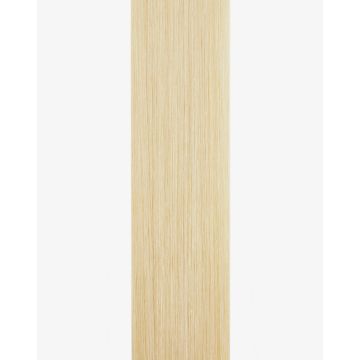 Tape-in Extensions Pro 40cm - 12 Bänder - 62