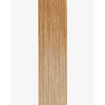 Tape-in Extensions Pro Colormelts 40cm - 12 Bänder - 8/23 CM