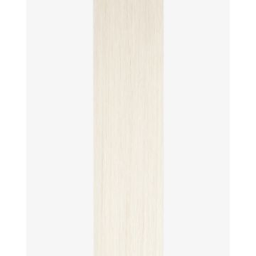 Tape-in Extensions Pro Silverline 25cm - 12 Bänder - D59
